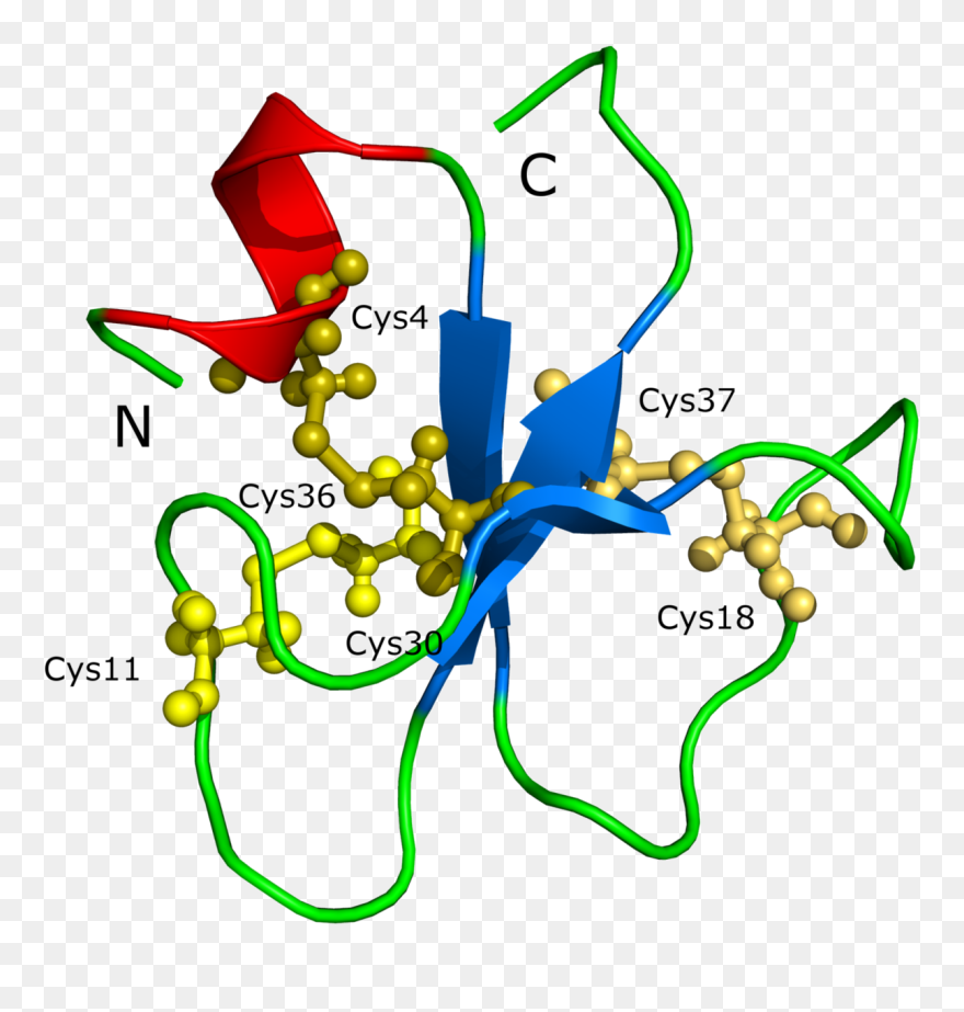 Inland Taipan Venom Chemical Structure - Venom Of Slow Loris Clipart