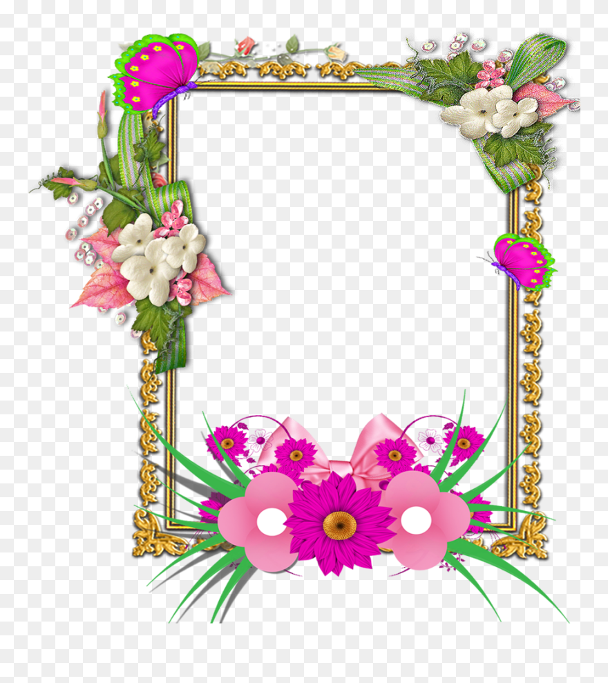 Flowers Tropical Frame Png - Borders Design Flowers Frame Clipart