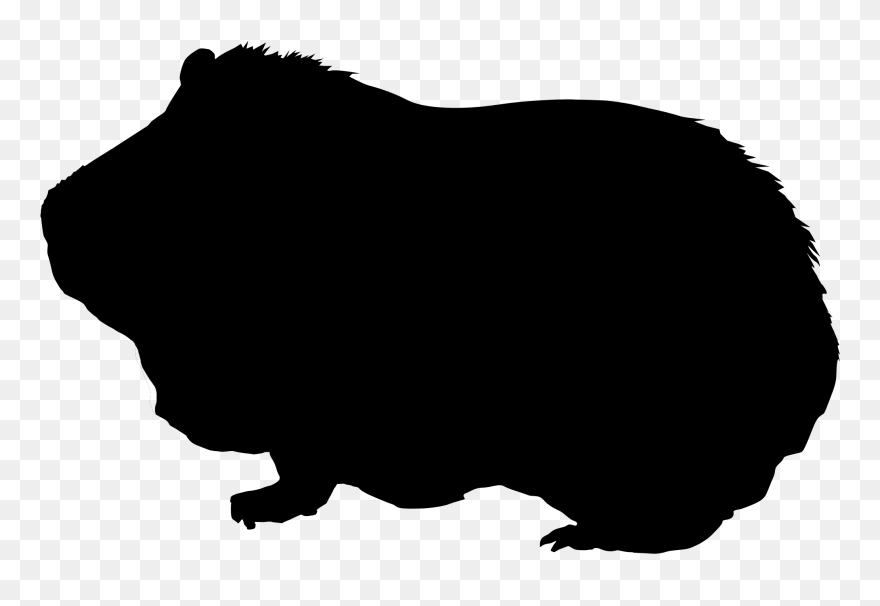 Skinny Pig Silhouette Animal Clip Art - Guinea Pig Silhouette Clipart - Png Download