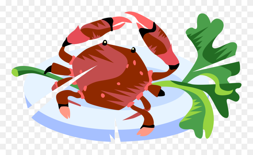 Vector Illustration Of Decapod Marine Crustacean Crab - Vector Graphics Clipart