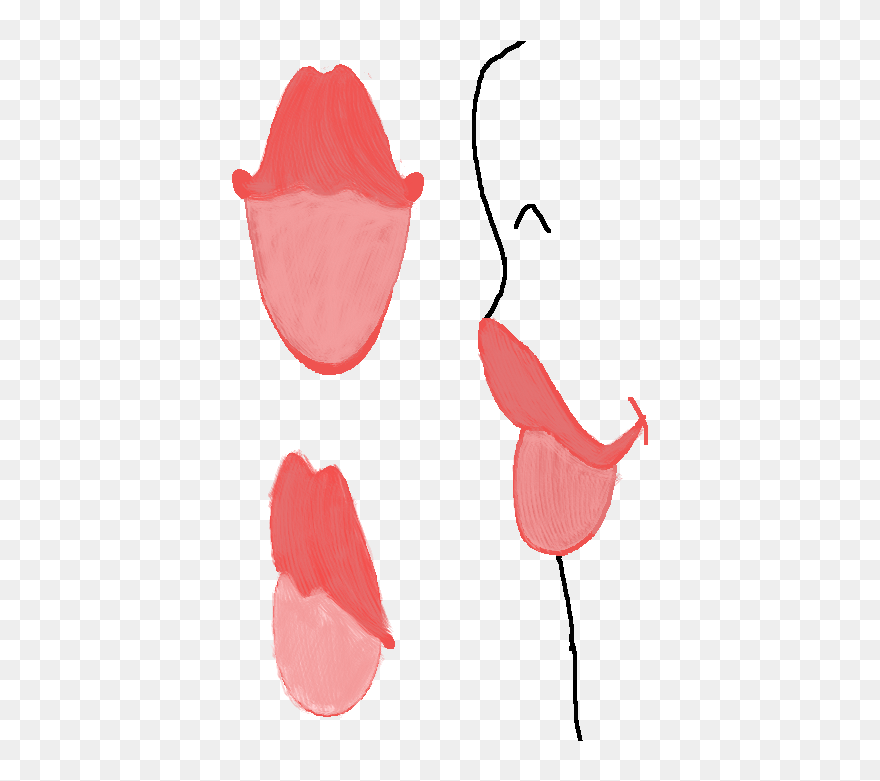 Clip Art - Png Download