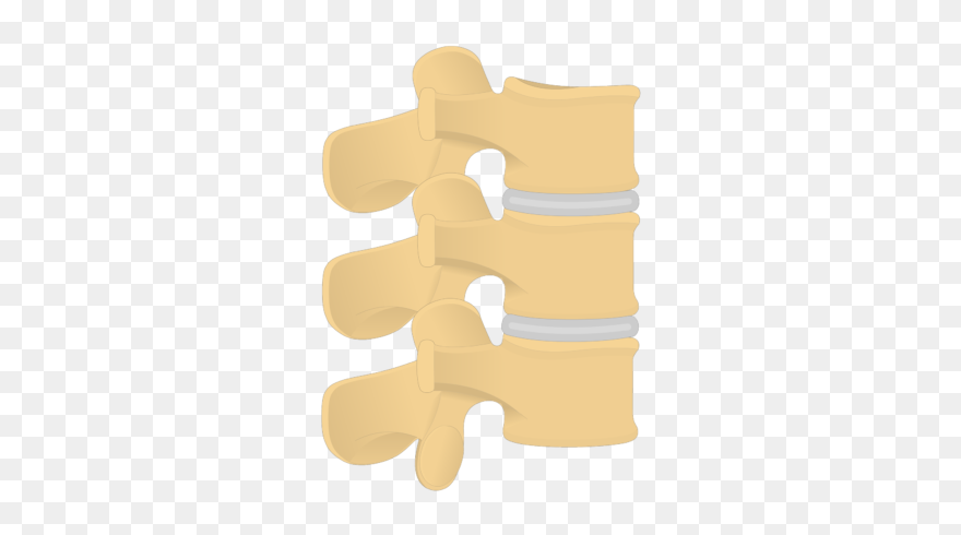 Spine Clipart Front - Wood - Png Download