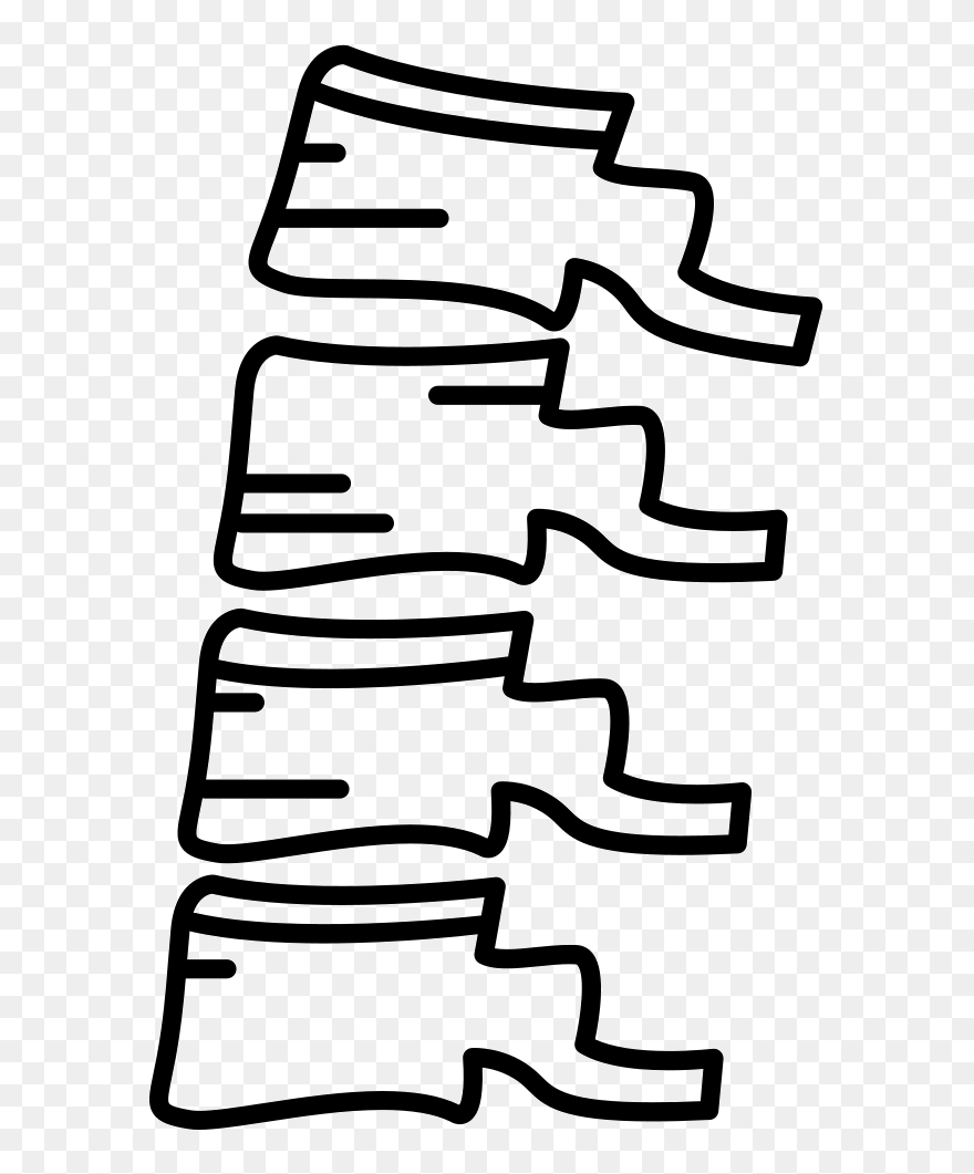 Spine Bone - Vertebral Column Clipart