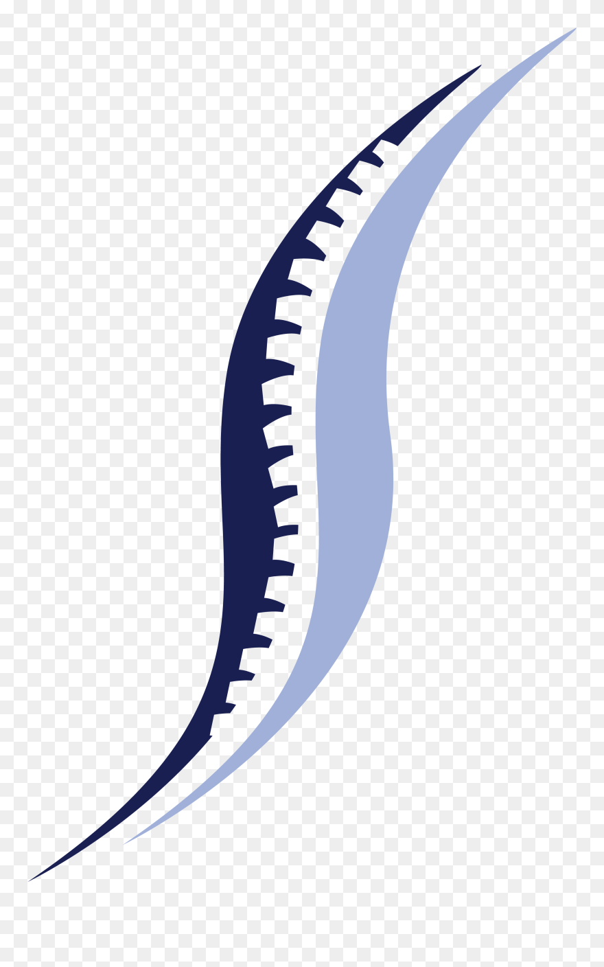 Clip Art - Png Download