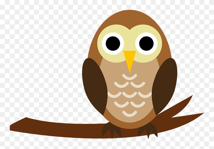Owl On Branch Clipart - フクロウ イラスト フリー 素材 - Png Download