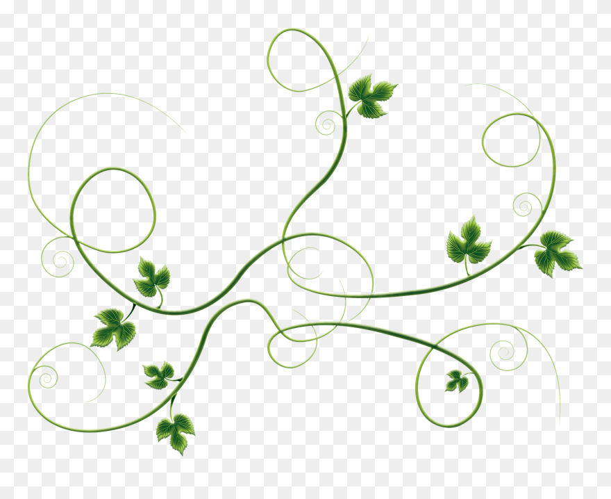 Parallax Image Clipart