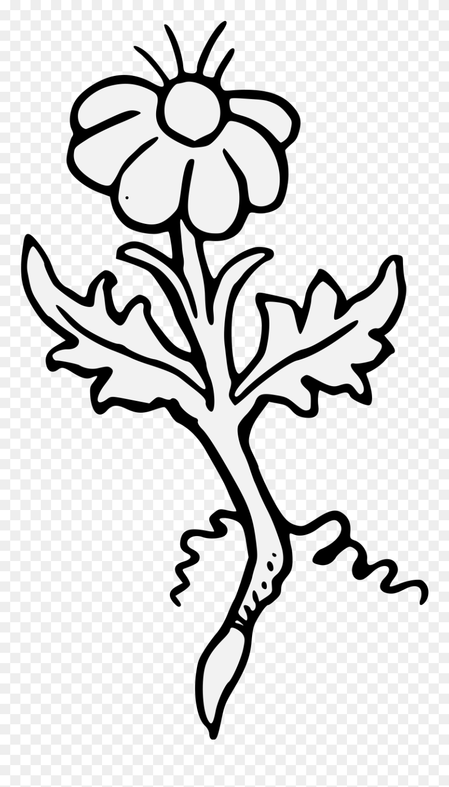 Clip Art - Png Download