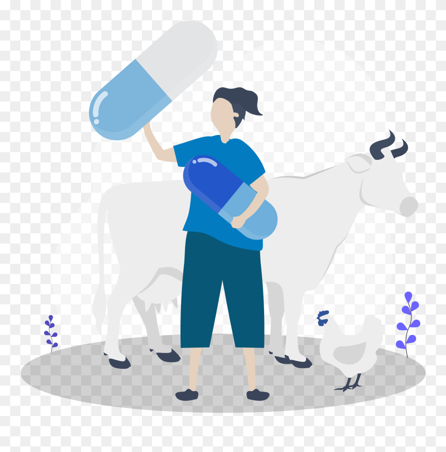 Clip Art - Png Download