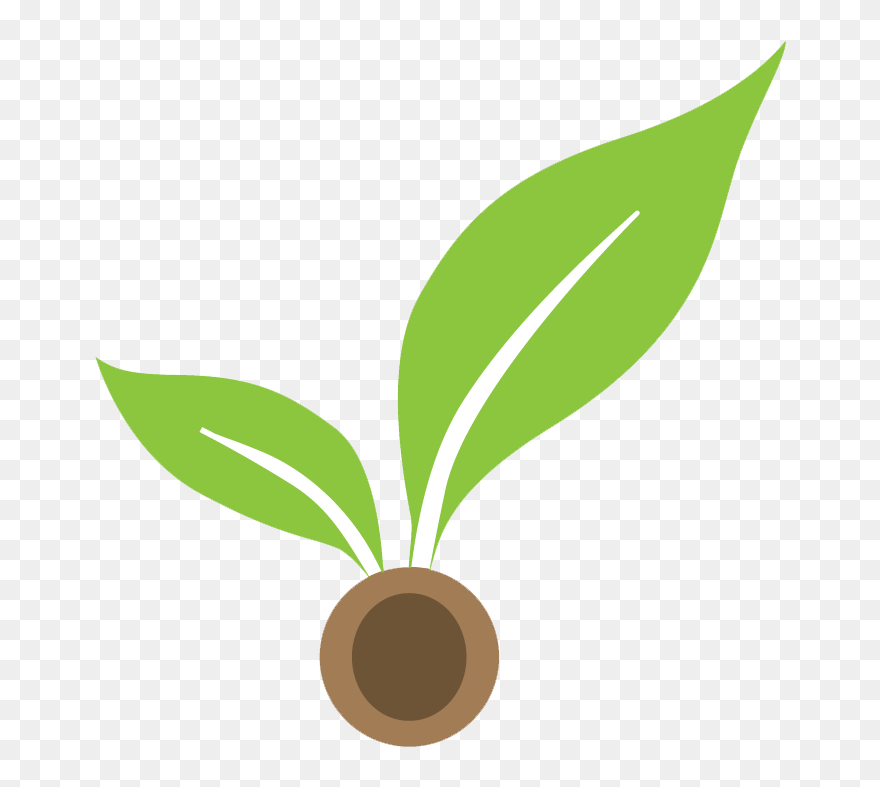 Napkin Stage - Plant From Seed Logo Clipart