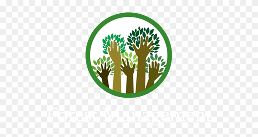 Illustration Clipart