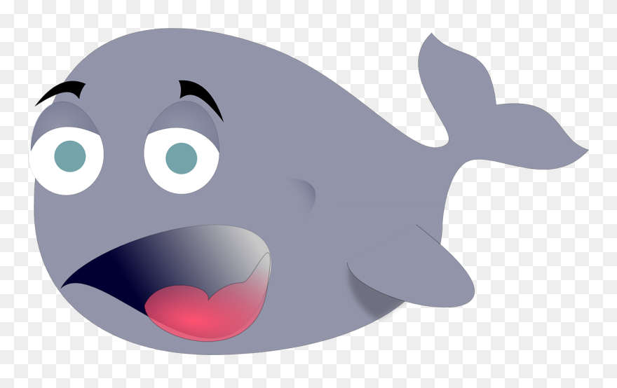 Funny Whale Clipart