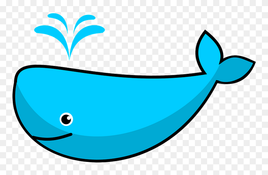 Cute Whale Clipart - Whale Clip Art - Png Download