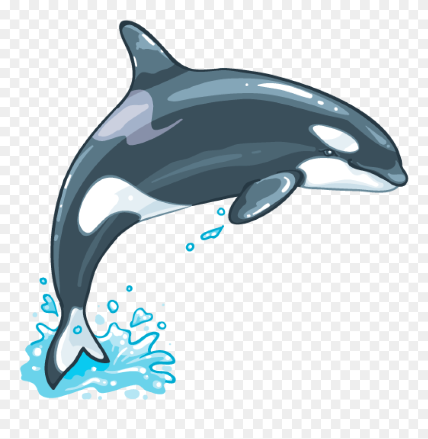 Whale Png Clipart