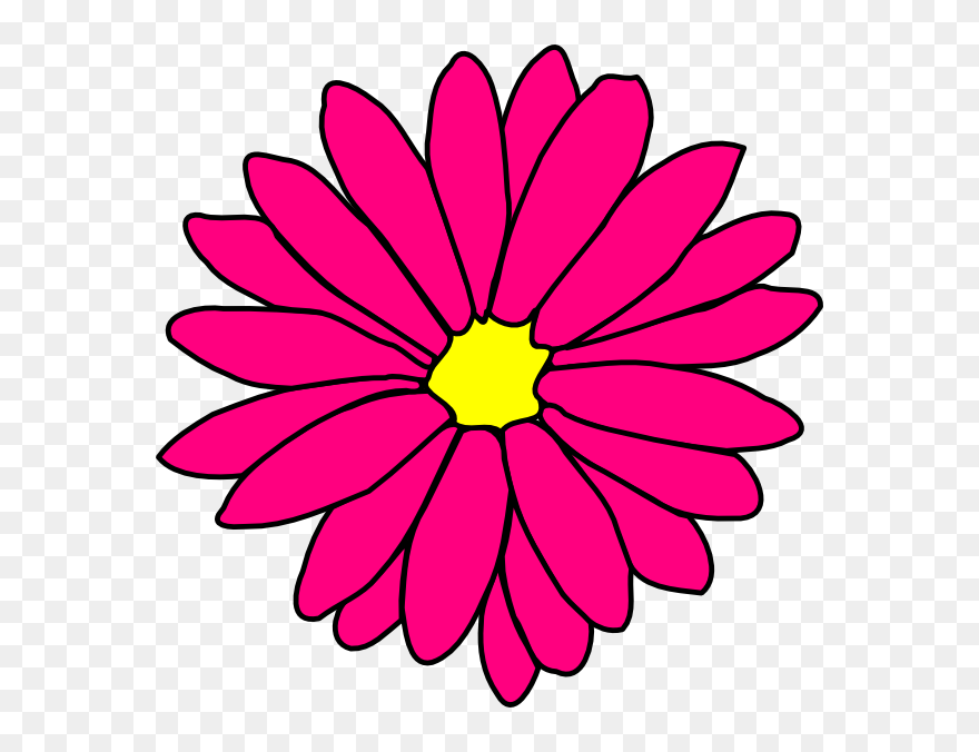Pink Daisy Clipart - Png Download