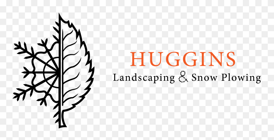 Illustration Clipart