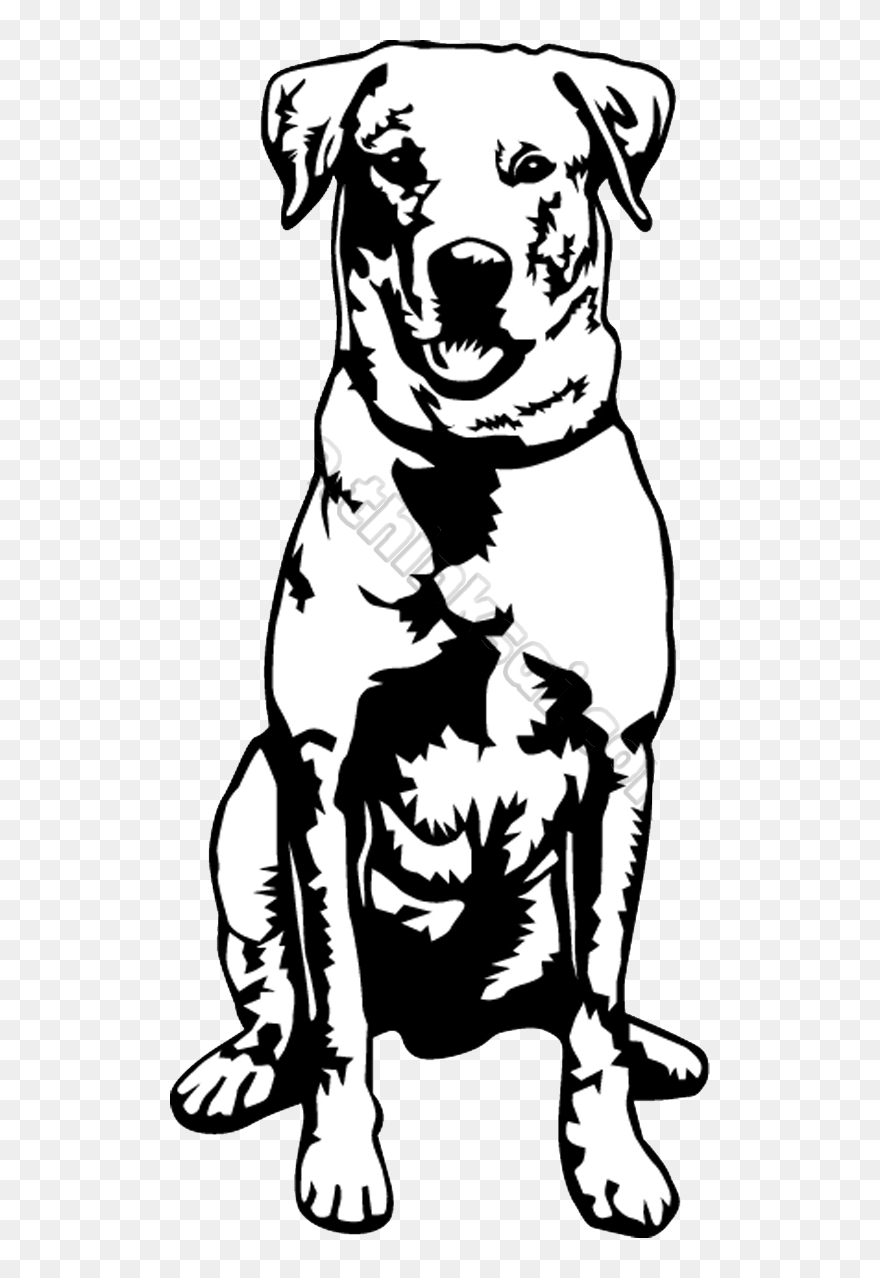 A Friggin Unicorn, Yo - Labrador Black And White Small Clipart - Png Download