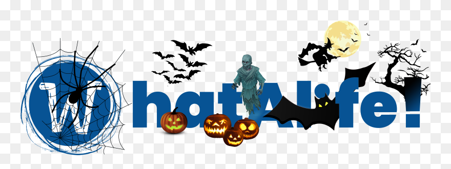 Halloween Witches Clipart