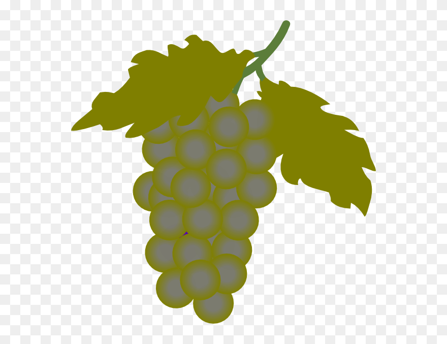 Grapes Clipart Transparent - Png Download