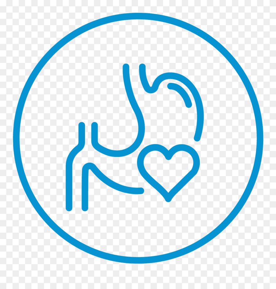 Dog Digestive Health Icon Clipart