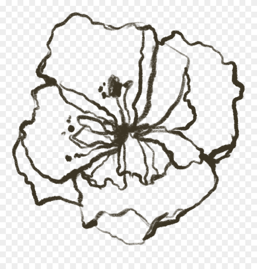 Element 19 - Drawing Clipart