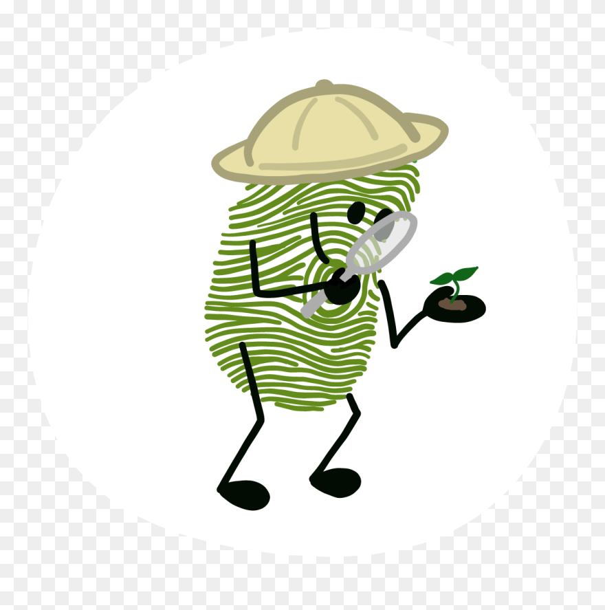 Illustration Clipart