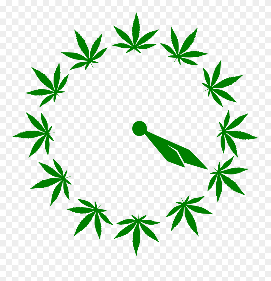 Cinco De Mayo And Weed Clipart