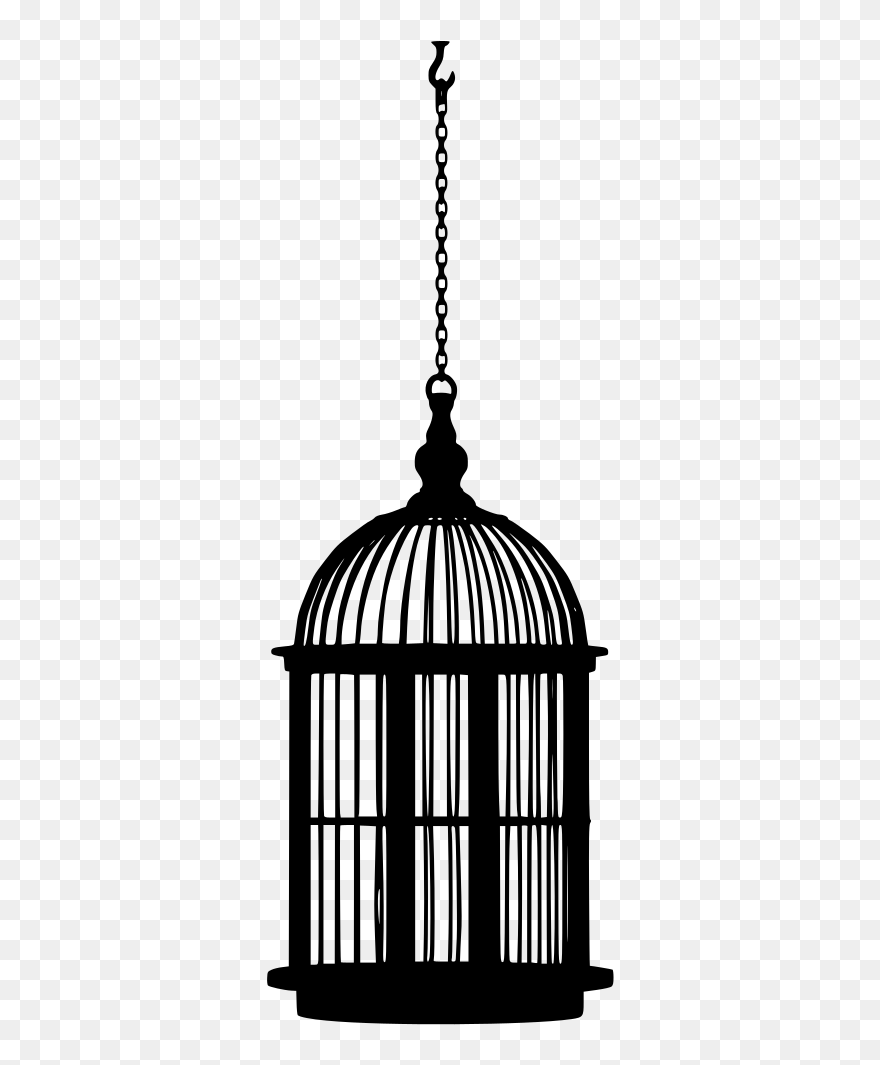 Pain Of Caged Bird Clipart