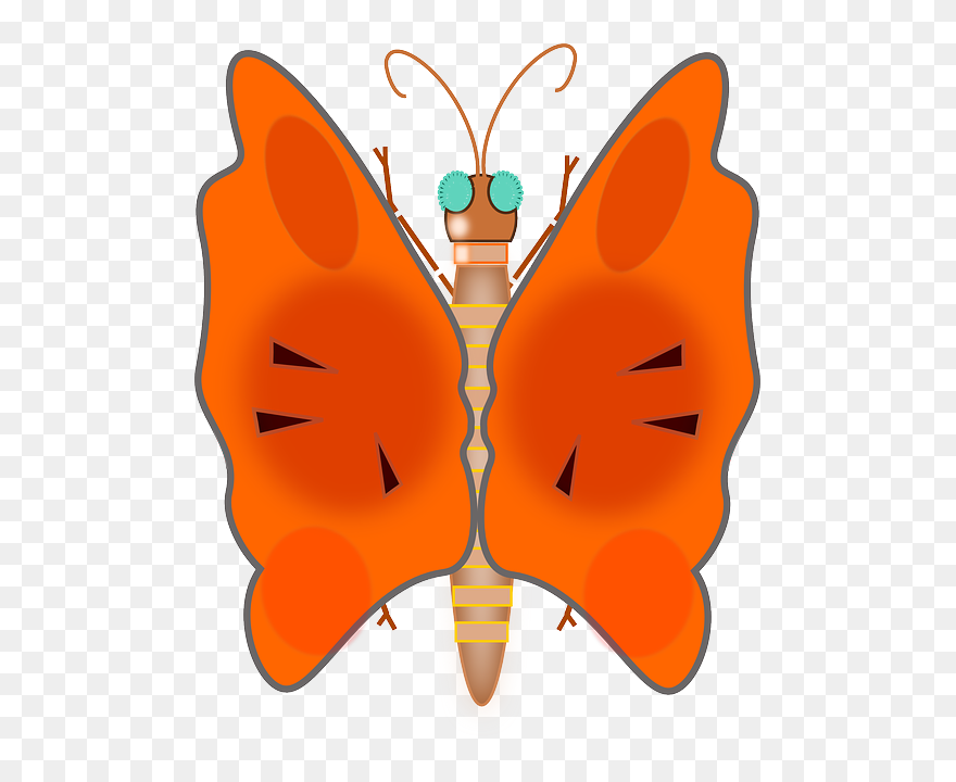 Animals, Lovely, Butterfly, Bug, Colors, Insect, Animal - Clip Art - Png Download