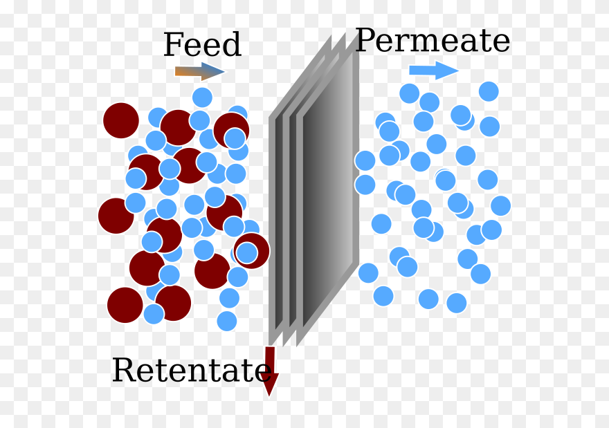Liceo Norberto Rosa Clipart