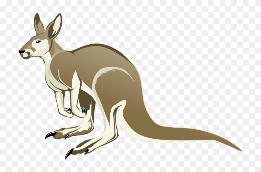 Collection Of Transparent - Transparent Kangaroo Clipart - Png Download