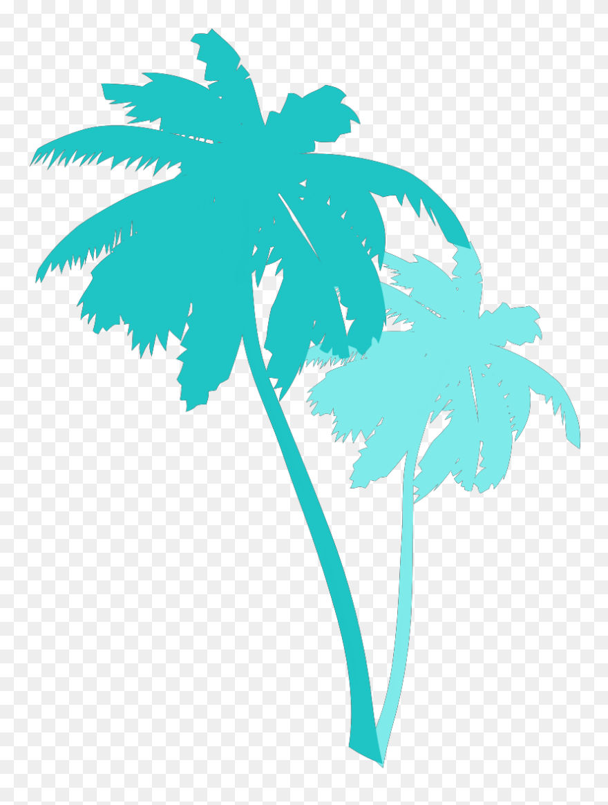 Palm Tree Illustration Vector Clipart