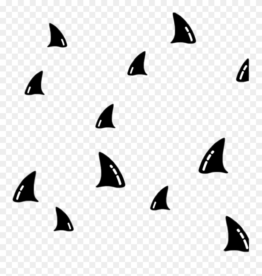 #shark #sharksticker #sharks #fin #sharkfin #jaws @haelilulu Clipart