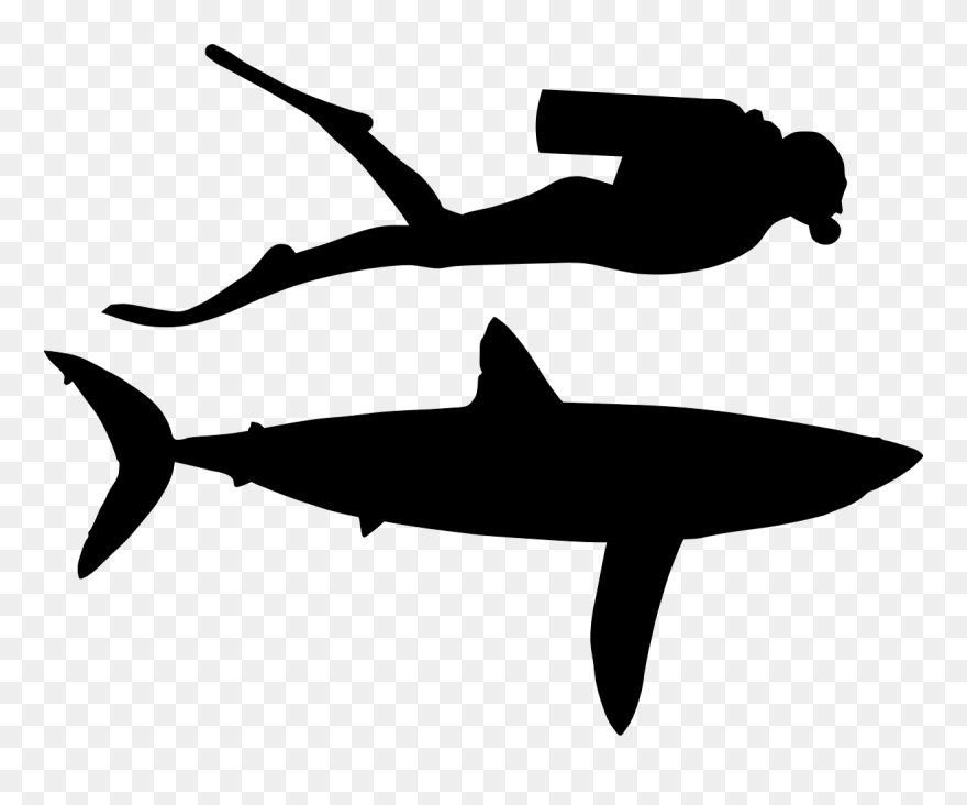 Shark Clip Art Fauna Line Silhouette - Sharks - Png Download