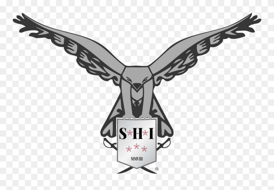 Vector Hawks Osprey - Illustration Clipart