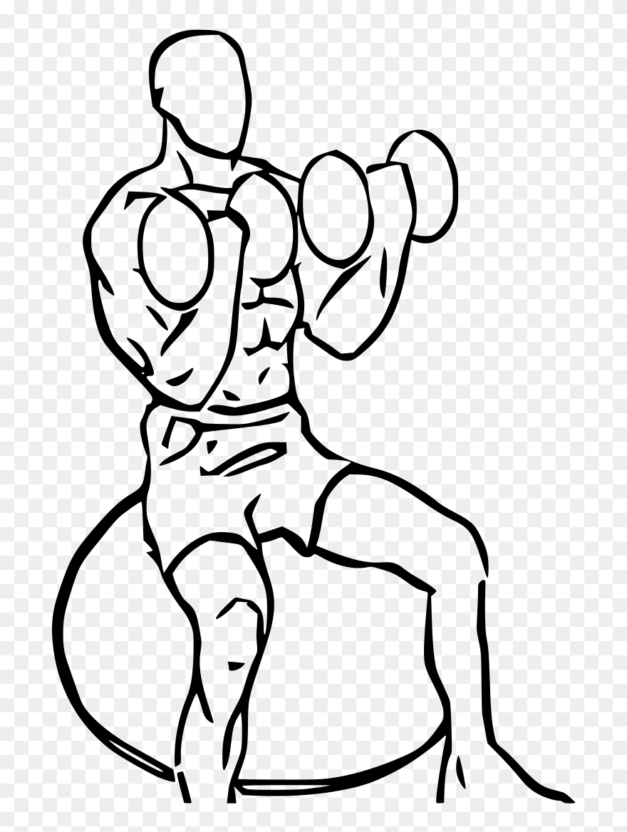 Biceps Curl Seated On Stability Ball With Dumbbell - Bicep Curl Clip Art - Png Download