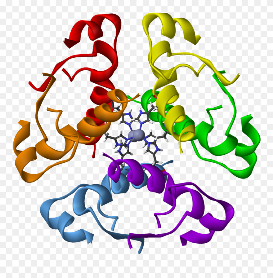 Transparent Proteins Clipart - Human Insulin - Png Download