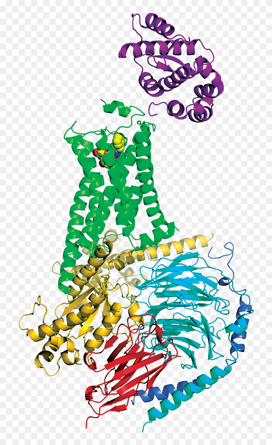 Protein X Ray Structure Clipart