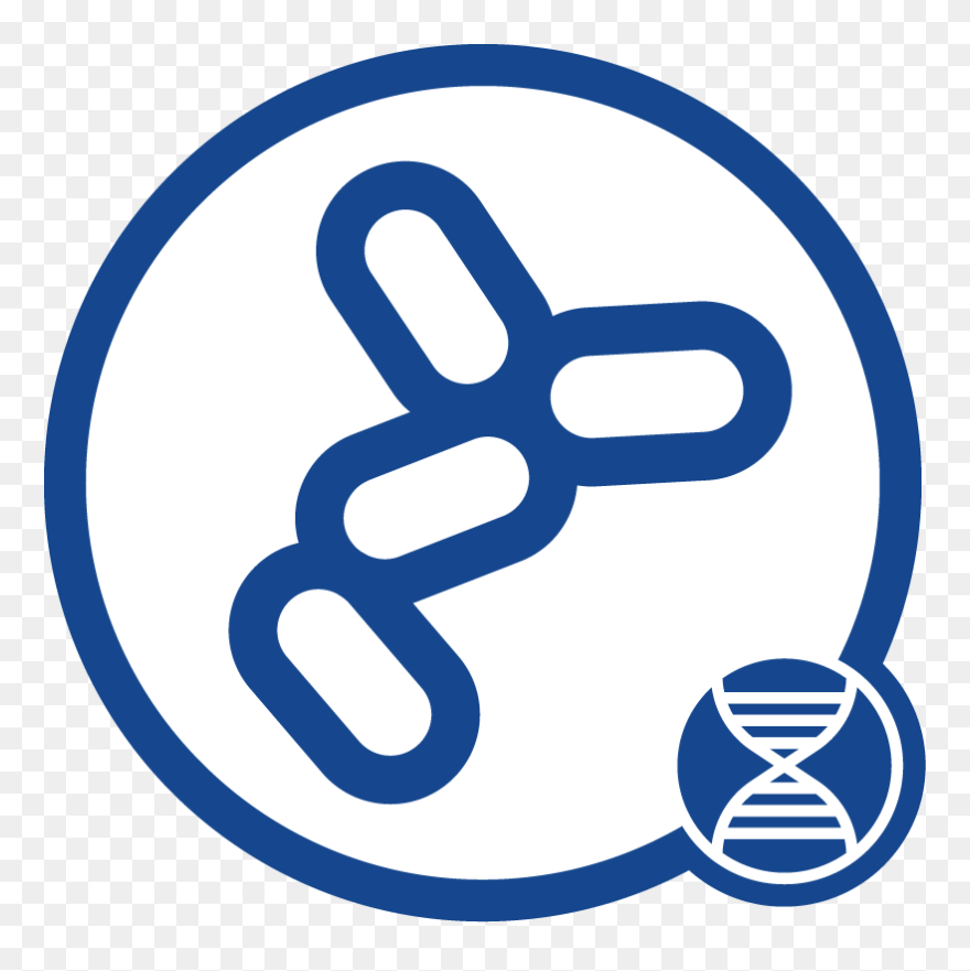 Bacteria Dna Icon - Yeast Dna Extraction Clipart - Png Download
