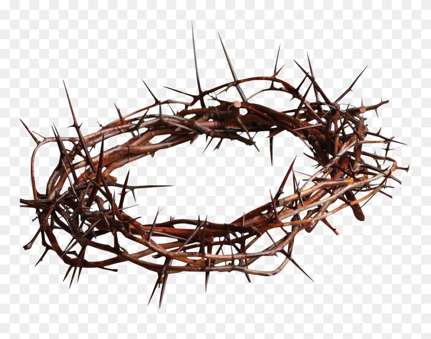 Thorns Crown Transparent Background - Good Friday Crown Of Thorns Clipart