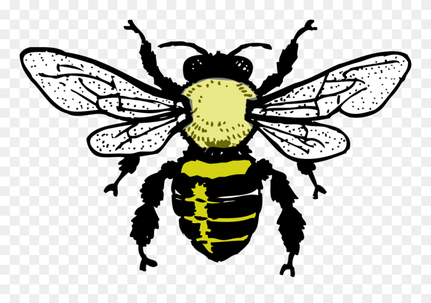 Silhouette Bee Clipart Black And White - Png Download