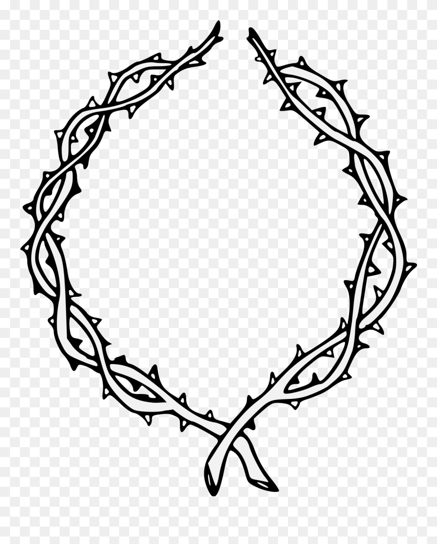 Thorns Transparent Png - Vines With Thorns Drawing Clipart