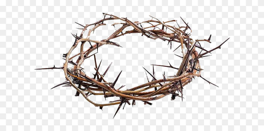 Thorns Crown Png Picture - Crown Of Thorns Royalty Free Clipart