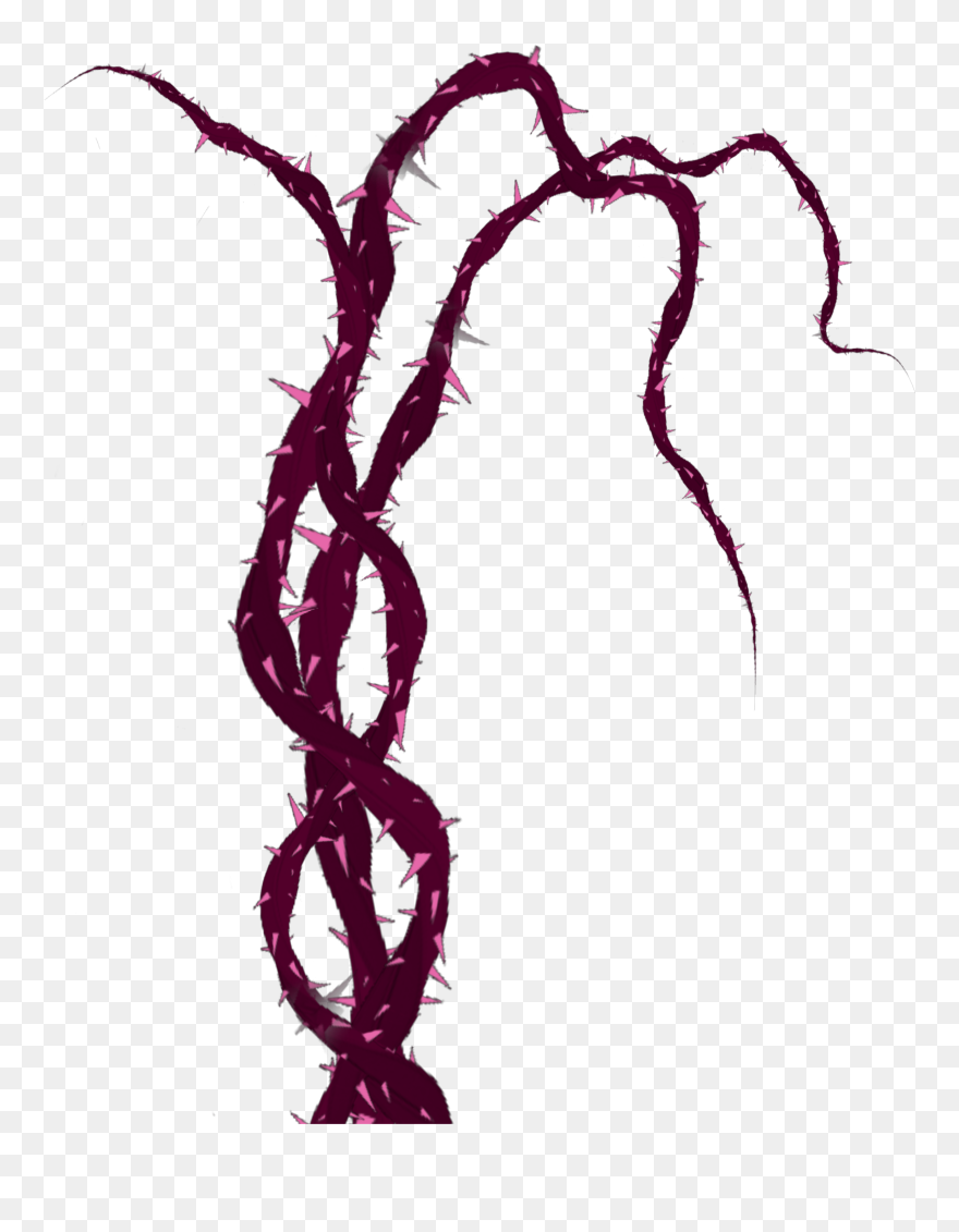 Illustration Clipart