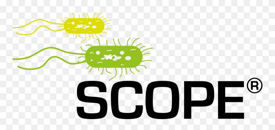 Clip Art - Png Download