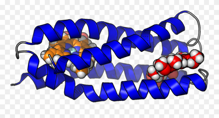 Clip Art - Png Download