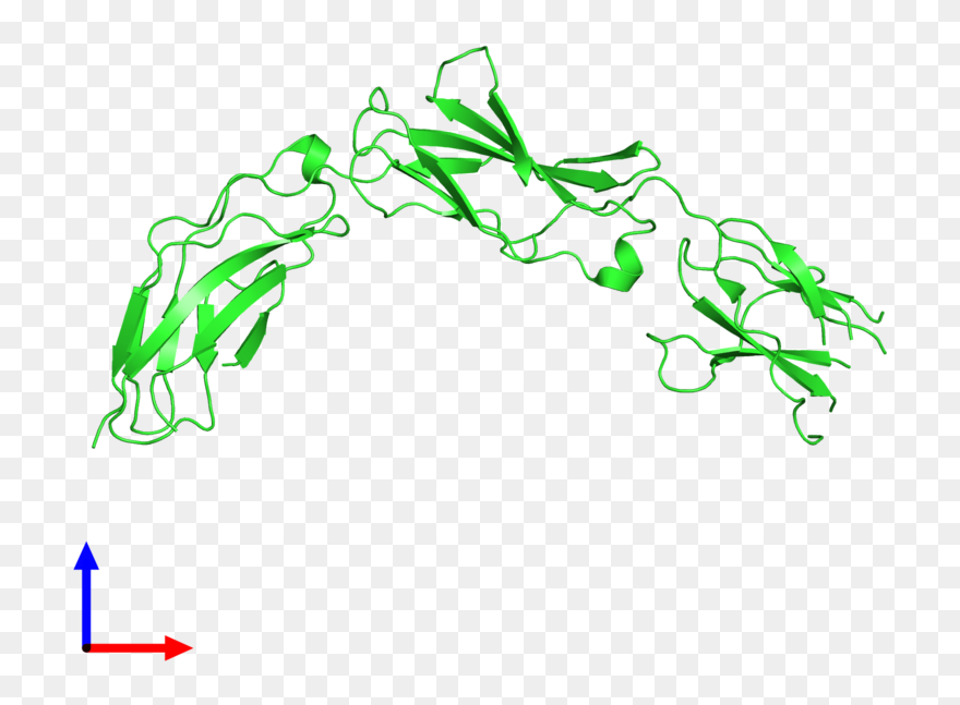 Clip Art - Png Download