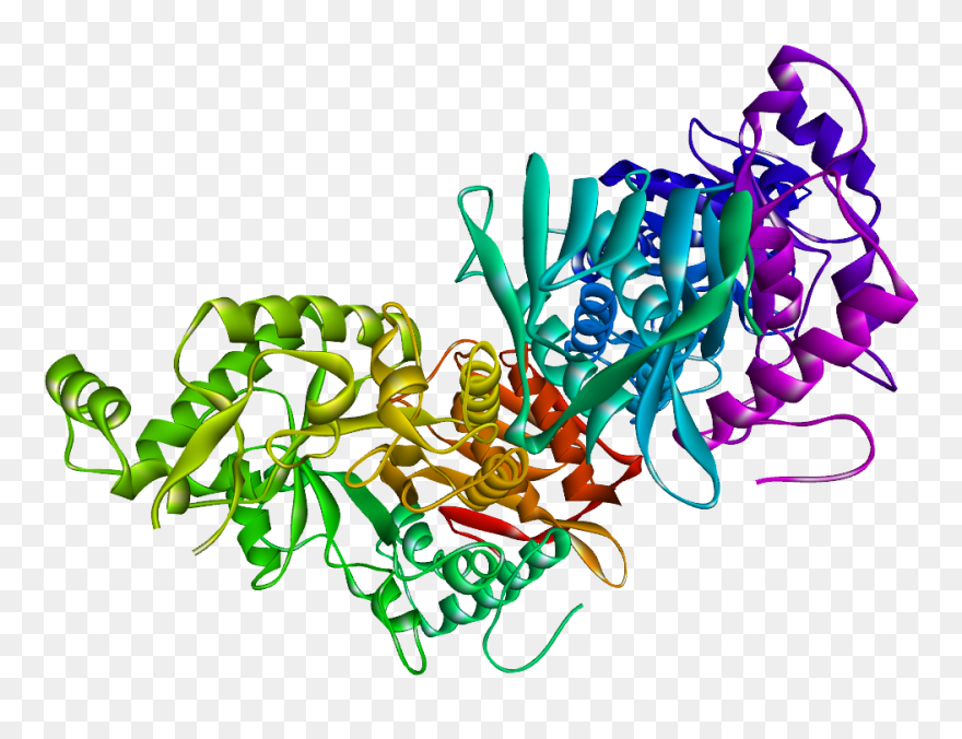 Graphic Design Clipart