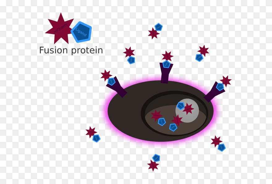 Clip Art - Png Download