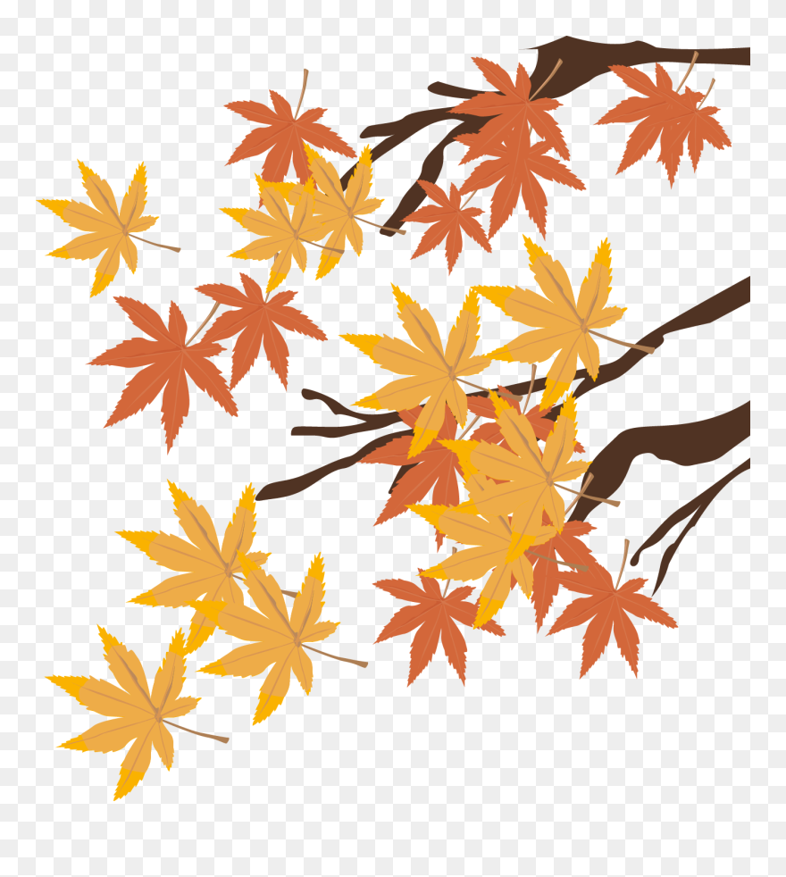 Drawing Branches Maple Tree - Hand Painted Maple Leaf Clipart