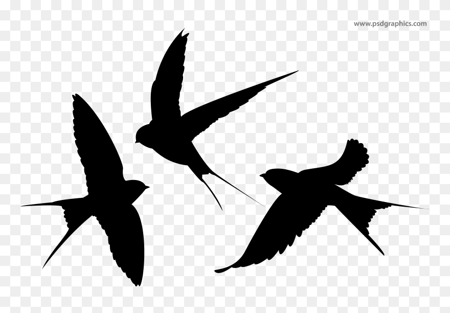 Swallow Silhouette Bird - Swallow Silhouette Png Clipart
